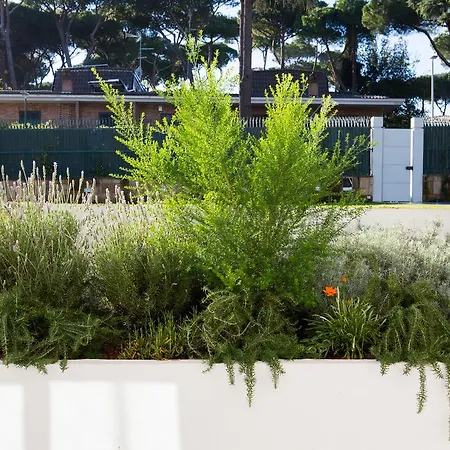 Niclas Luxury Eur * Rome