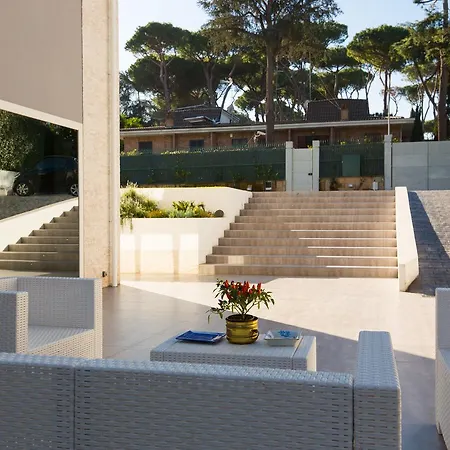 Niclas Luxury *