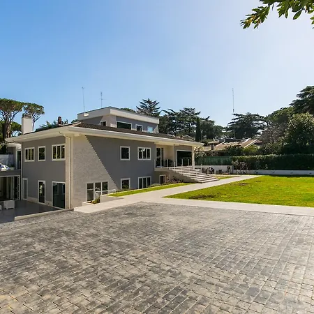 Niclas Luxury Apartment